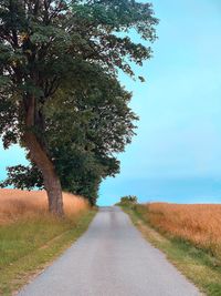 Empty road amidst trees on field against sky