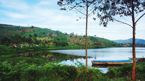 Scenic view of lake by trees against sky