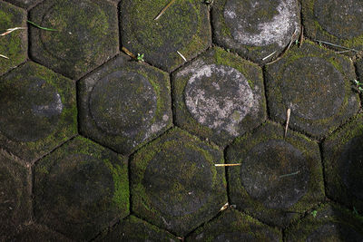 Full frame shot of stone wall