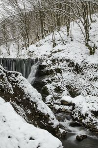 Scenic view of snow covered stream in forest