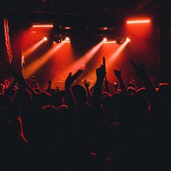 Crowd at illuminated music concert