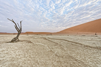 Sand dunes in desert against sky