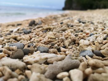 Close-up of stones on beach