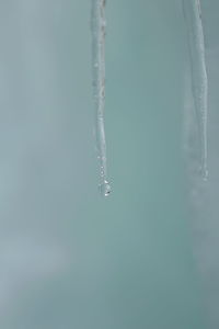 Close-up of frozen water