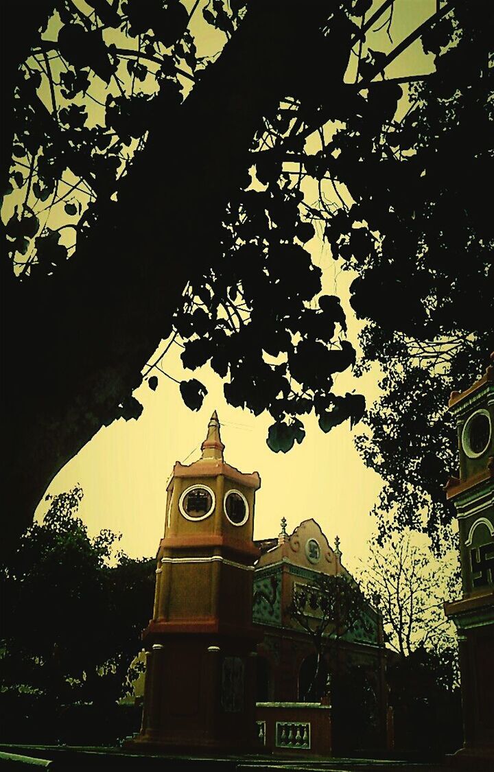 building exterior, architecture, low angle view, built structure, tree, religion, branch, place of worship, spirituality, sky, church, illuminated, no people, outdoors, house, growth, building, clock tower, day