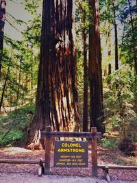 Information sign on tree trunk