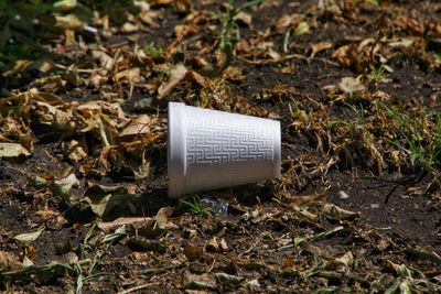 Styrofoam cup in a bed of leaves