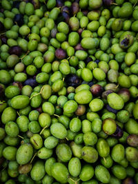 Full frame shot of green fruits for sale