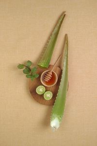 High angle view of vegetables on table