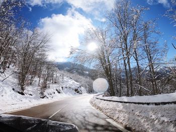 Snow covered road amidst bare trees against sky