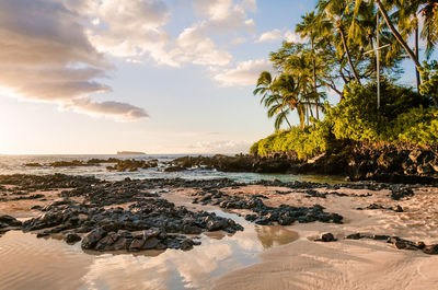 Sunset view of beautiful tropical beach, secret wedding beach, makena cove, maui, hawai