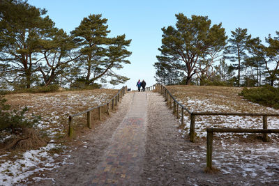Rear view of man on footpath amidst trees against sky