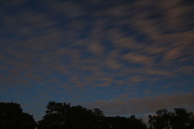 Low angle view of silhouette trees against sky at night