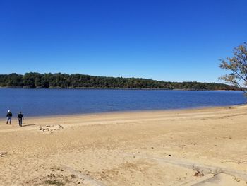 Barren river lake