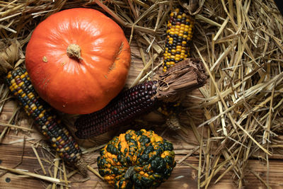 High angle view of pumpkins in farm