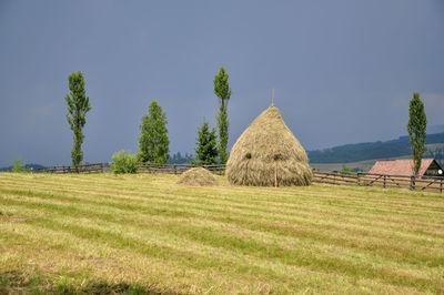 Hay bales on field against clear sky