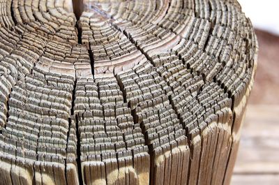 Close-up of tree stump