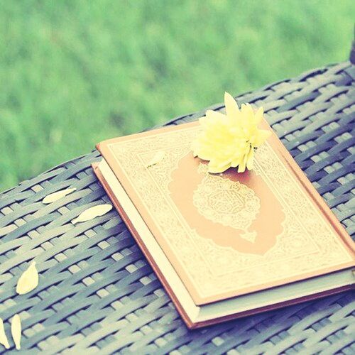 close-up, focus on foreground, table, wood - material, day, white color, yellow, book, no people, paper, outdoors, still life, flower, high angle view, building exterior, built structure, freshness, pattern, selective focus, wooden