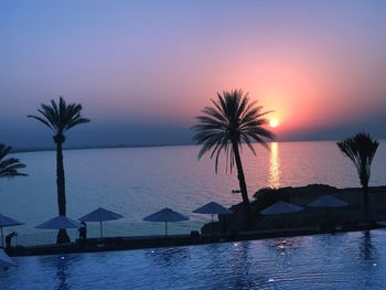 Silhouette palm trees by swimming pool against sky during sunset