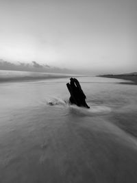 Man swimming in a sea
