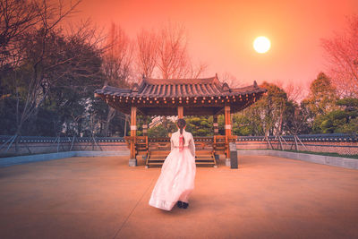 Rear view of woman standing against trees during sunset