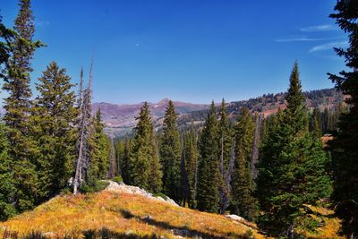 Lake martha hiking sunset peak, great western trail brighton rocky mountains, wasatch front, utah.