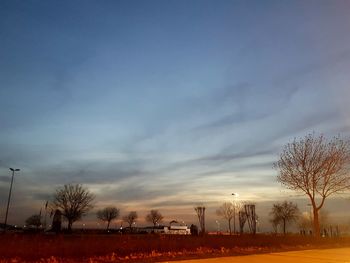 Bare trees on field against sky