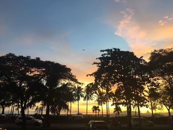 Silhouette of trees during sunset