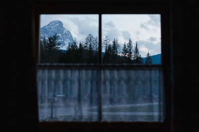 Reflection of trees on snow covered window