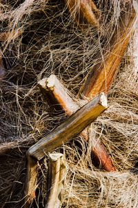 Close-up of fishing net