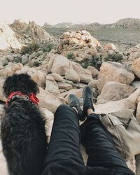Low section of woman with dog on rock