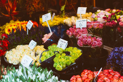 High angle view of flowers for sale