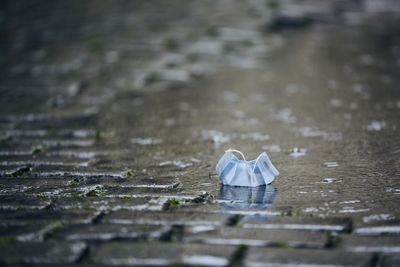 Surgical mask lying on wet street