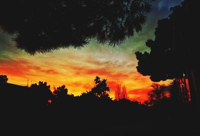 Low angle view of silhouette trees against dramatic sky