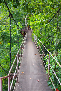 Footbridge amidst trees in forest