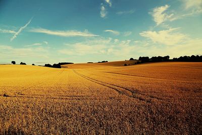 Scenic view of field against cloudy sky