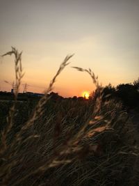 Scenic view of silhouette field against sky at sunset