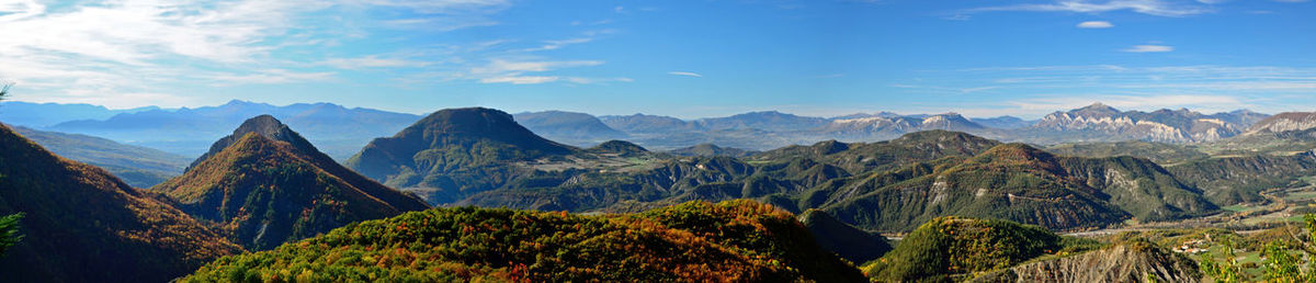 Panoramic view of pine trees and mountains against blue sky