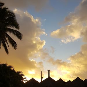 Low angle view of silhouette trees against sky