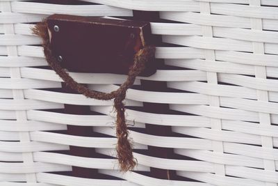 Close-up of window