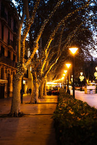 Illuminated street