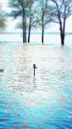 Man surfing in sea against sky