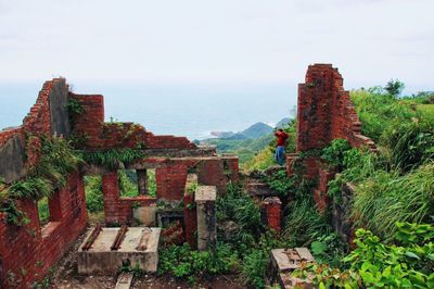 Panoramic view of trees and mountain against sky