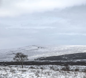 Scenic view of snow field against sky