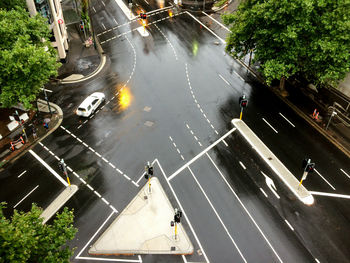 High angle view of trees along water