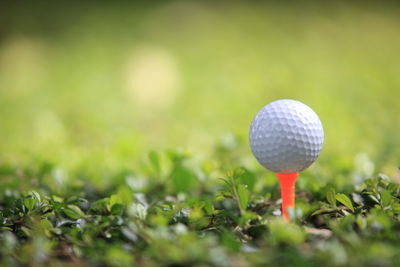 Close-up of golf ball on field