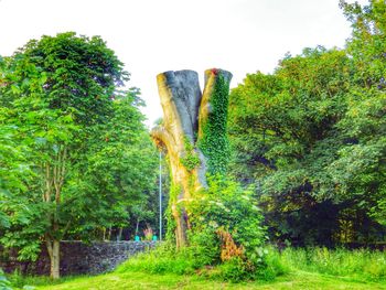 Trees growing on landscape