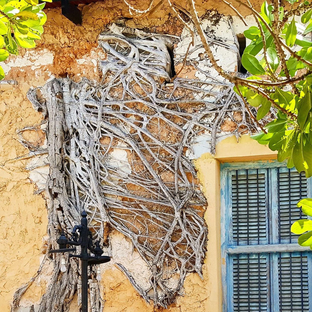 LOW ANGLE VIEW OF BUILDING WITH TREE