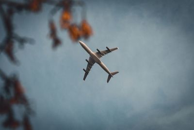 Low angle view of airplane flying in sky