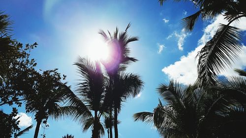 Low angle view of silhouette trees against sky during sunset